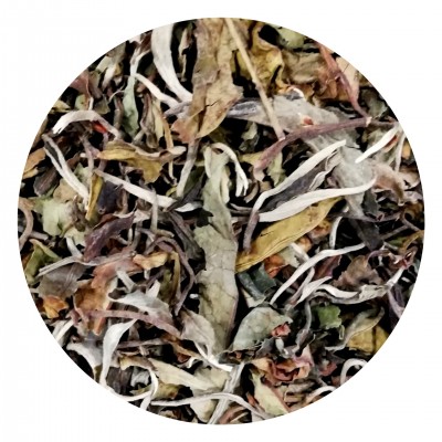 Thé blanc Pai Mu Tan FBKT - artisanal