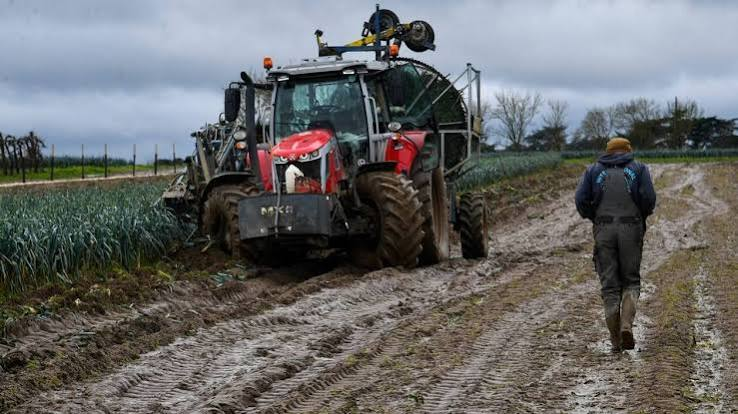 Ces aliments dont la saveur dépend directement de la météo de l’année