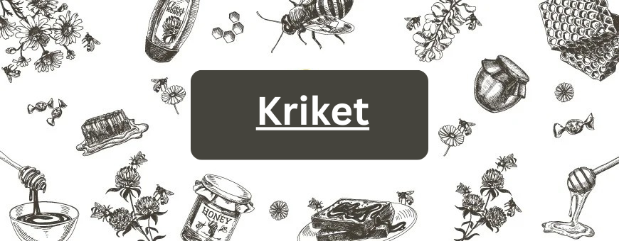 Kriket