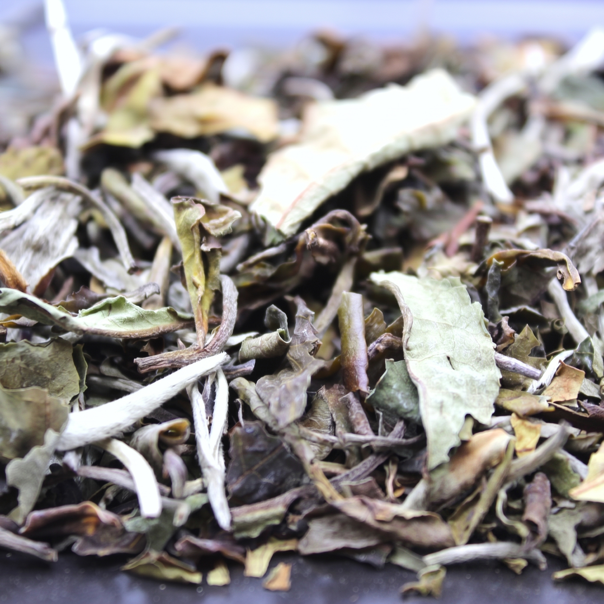 Thé blanc Pai Mu Tan 100g | FBKT