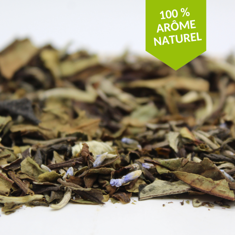 Organic lavender vanilla white tea